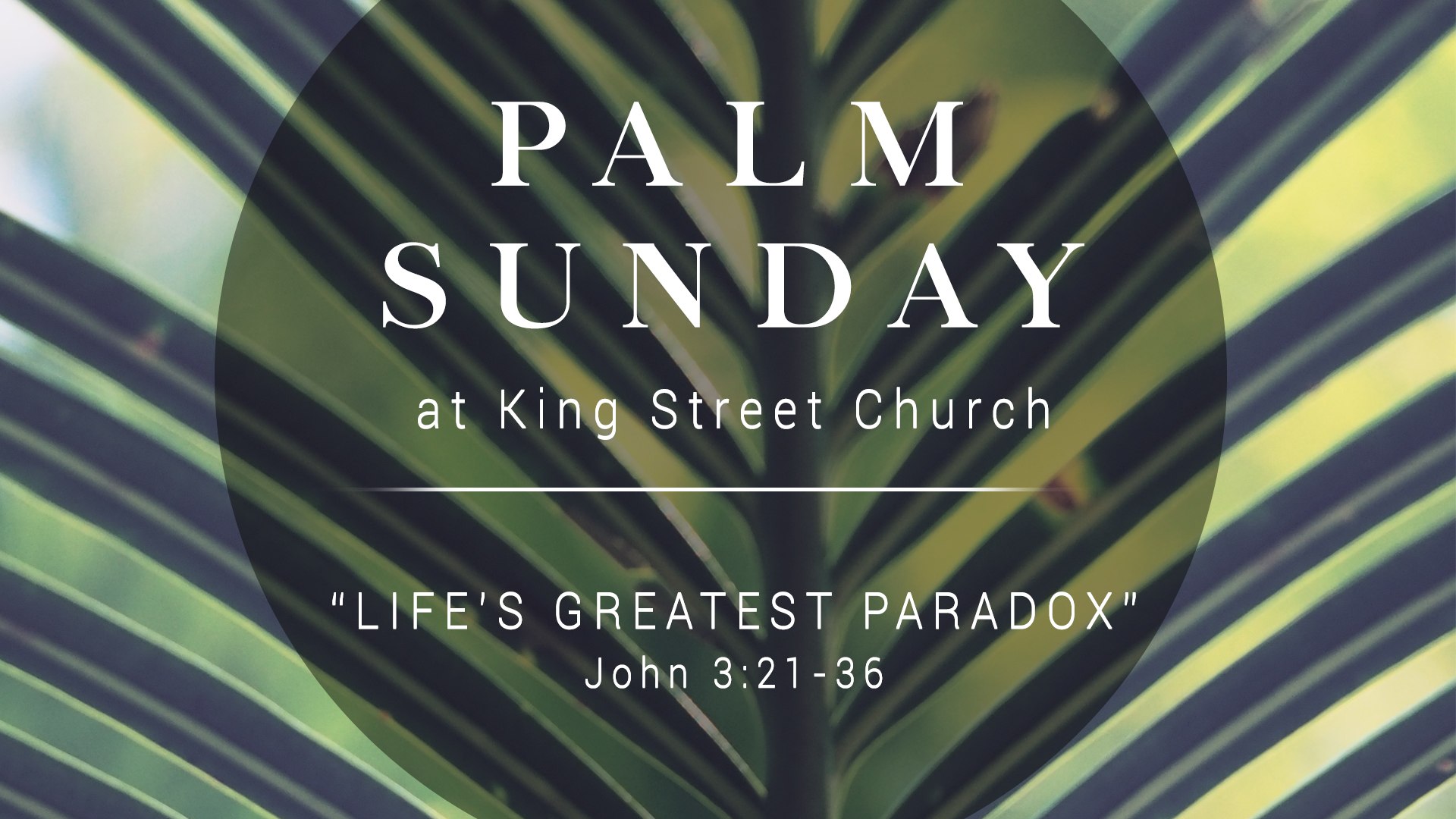 palm-sunday-screen