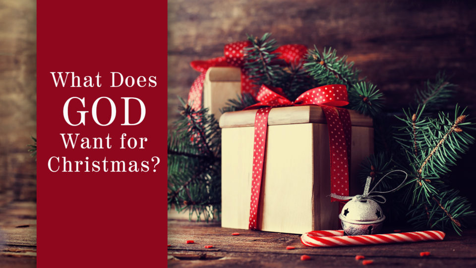 december-8-screen-new-sermon-2