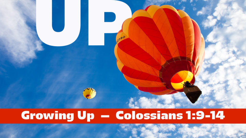 august-15-16-screen-2